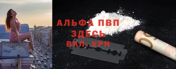 PSILOCYBIN Абаза