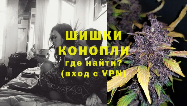 PSILOCYBIN Абаза