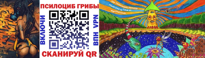 Галлюциногенные грибы Cubensis Сухиничи